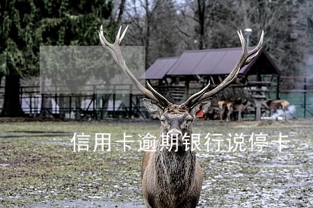 信用卡逾期银行说停卡 信用卡逾期银行说停卡