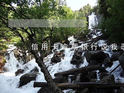 信用卡逾期银行说我恶意躲避 信用卡逾期银行说我恶意躲避