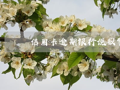 信用卡逾期银行说报警抓我 信用卡逾期银行说报警抓我