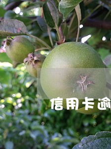 信用卡逾期银行说撤案金 信用卡逾期银行说撤案金