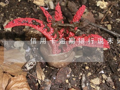 信用卡逾期银行说未记录逾期 信用卡逾期银行说未记录逾期