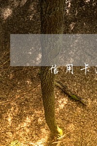 信用卡逾期银行说的要提交资料 信用卡逾期银行说的要提交资料