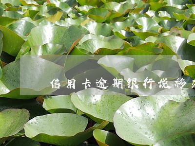 信用卡逾期银行说移交 信用卡逾期银行说移交