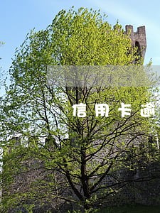 信用卡逾期银行说虚假资料 信用卡逾期银行说虚假资料