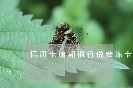 信用卡逾期银行说要冻卡销额 信用卡逾期银行说要冻卡销额
