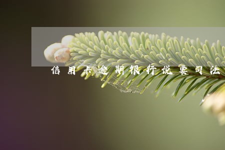 信用卡逾期银行说要司法诉讼 信用卡逾期银行说要司法诉讼