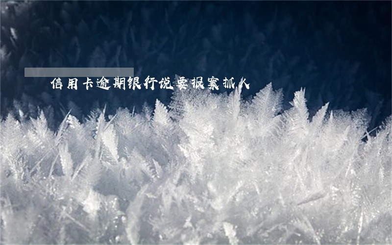 信用卡逾期银行说要报案抓人