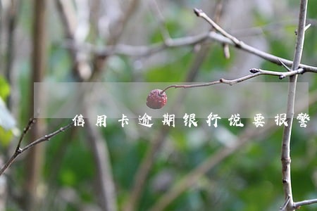 信用卡逾期银行说要报警怎么办 信用卡逾期银行说要报警怎么办