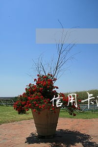信用卡逾期银行说要走流程 信用卡逾期银行说要走流程