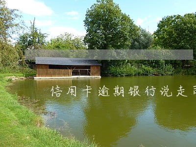 信用卡逾期银行说走司法程序