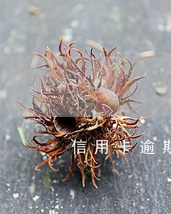 信用卡逾期银行说还本金 信用卡逾期银行说还本金