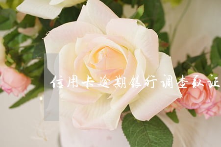 信用卡逾期银行调查取证是
