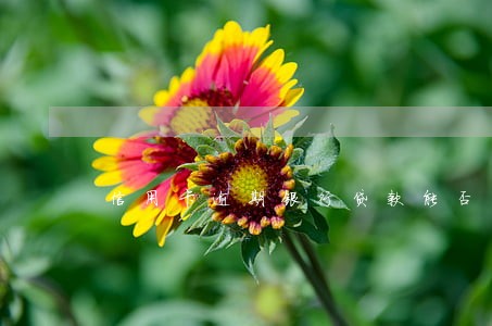 信用卡逾期银行贷款能否贷上