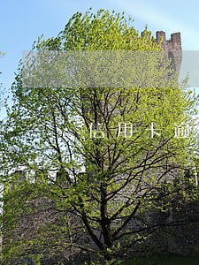 信用卡逾期银行资产抵押 信用卡逾期银行资产抵押