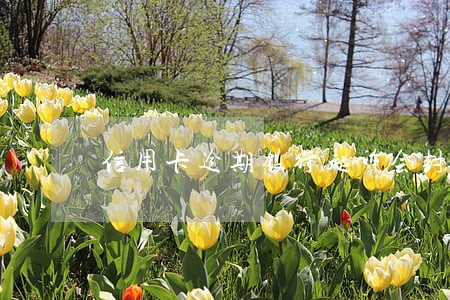 信用卡逾期银行起诉会封房产吗 信用卡逾期银行起诉会封房产吗
