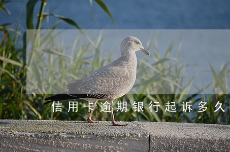 信用卡逾期银行起诉多久受理 信用卡逾期银行起诉多久受理