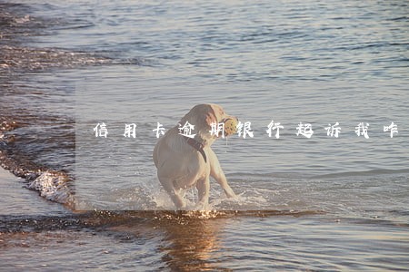 信用卡逾期银行起诉我咋办 信用卡逾期银行起诉我咋办