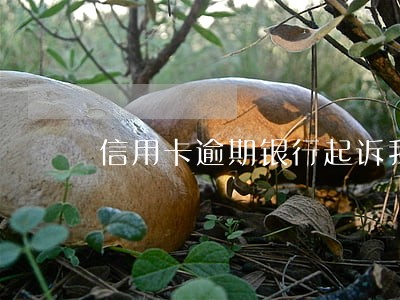 信用卡逾期银行起诉我恶意透支