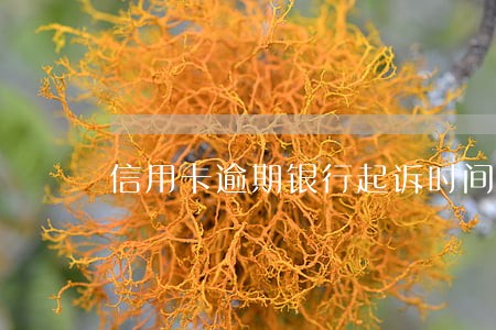 信用卡逾期银行起诉时间