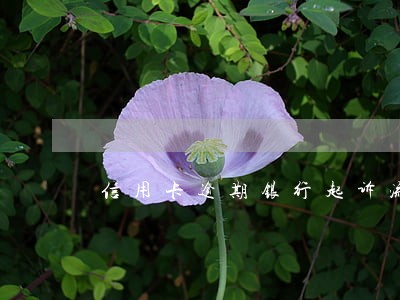 信用卡逾期银行起诉流 信用卡逾期银行起诉流