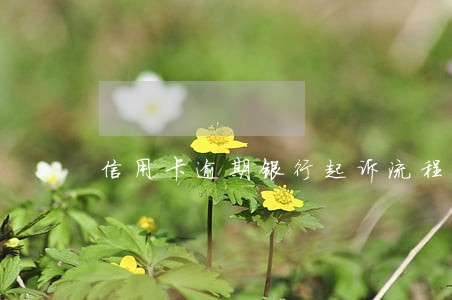 信用卡逾期银行起诉流程开庭 信用卡逾期银行起诉流程开庭