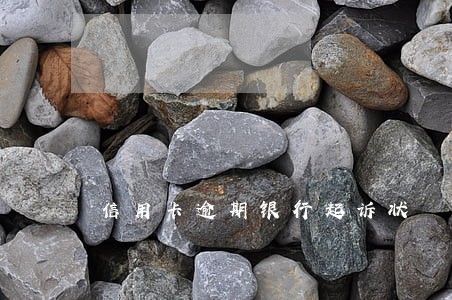信用卡逾期银行起诉状 信用卡逾期银行起诉状