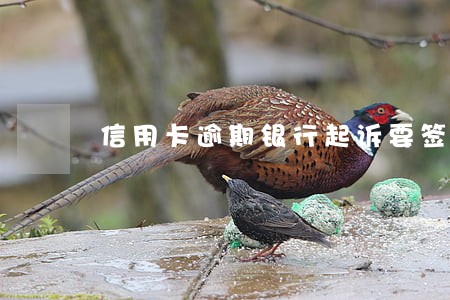 信用卡逾期银行起诉要签字 信用卡逾期银行起诉要签字