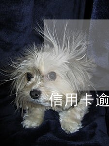 信用卡逾期银行起诉调查 信用卡逾期银行起诉调查