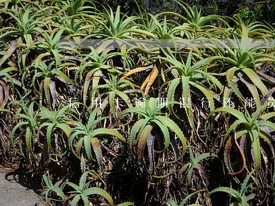 信用卡逾期银行还能贷款吗 信用卡逾期银行还能贷款吗
