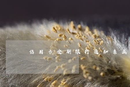 信用卡逾期银行通知亲属
