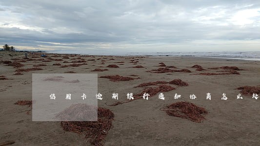 信用卡逾期银行通知协商怎么处理