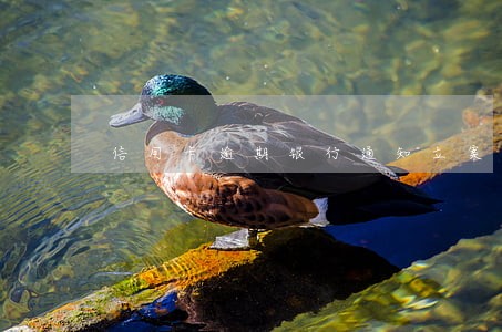 信用卡逾期银行通知立案后怎么办