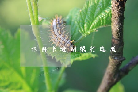 信用卡逾期银行造成 信用卡逾期银行造成