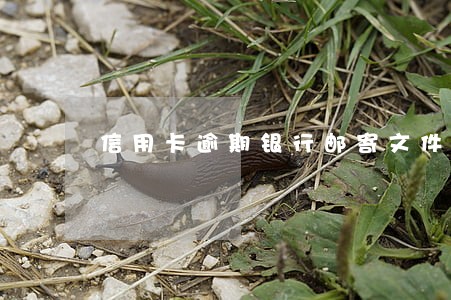 信用卡逾期银行邮寄文件 信用卡逾期银行邮寄文件