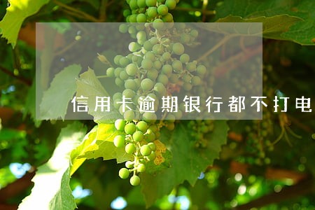 信用卡逾期银行都不打电话