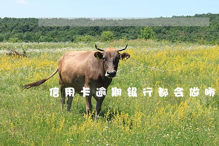 信用卡逾期银行都会做哪些事情 信用卡逾期银行都会做哪些事情