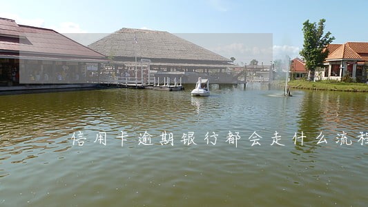信用卡逾期银行都会走什么流程 信用卡逾期银行都会走什么流程