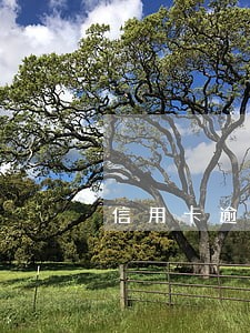信用卡逾期银行都打电话给你吗 信用卡逾期银行都打电话给你吗
