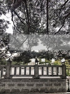 信用卡逾期银行问我结婚没有 信用卡逾期银行问我结婚没有