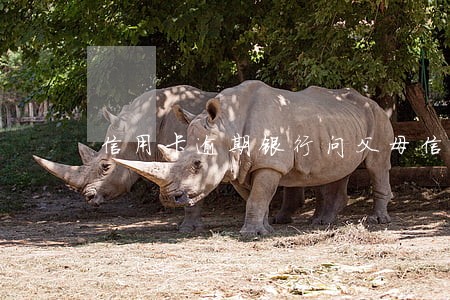 信用卡逾期银行问父母信息 信用卡逾期银行问父母信息