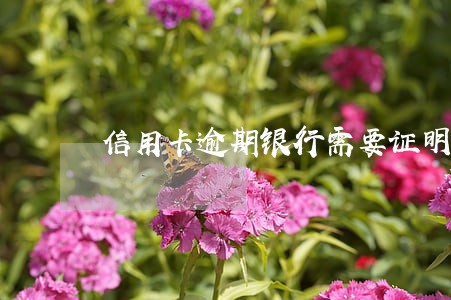 信用卡逾期银行需要证明协商 信用卡逾期银行需要证明协商