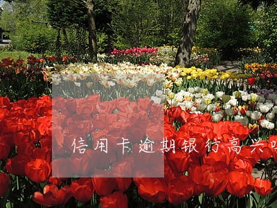 信用卡逾期银行高兴吗