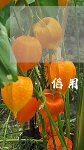 信用卡逾期银行高管 信用卡逾期银行高管