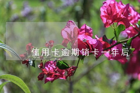 信用卡逾期销卡一年后