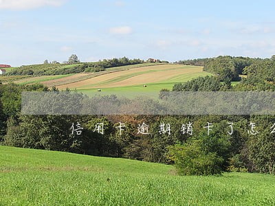 信用卡逾期销卡了怎么处理上海