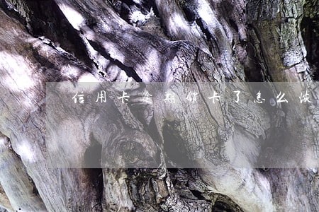 信用卡逾期销卡了怎么恢复征信