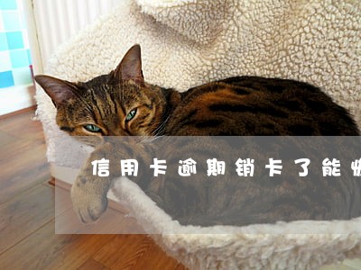 信用卡逾期销卡了能恢复吗 信用卡逾期销卡了能恢复吗