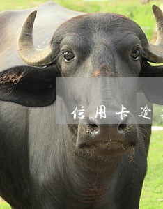 信用卡逾期销卡信用多久才能恢复