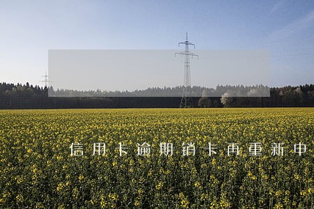 信用卡逾期销卡再重新申请 信用卡逾期销卡再重新申请
