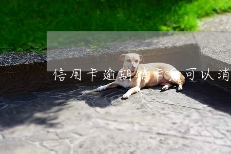 信用卡逾期销卡后可以消除吗 信用卡逾期销卡后可以消除吗